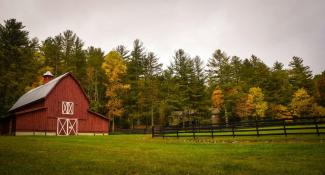 barn surrounded by trees by Frances Gunn courtesy of Unsplash.